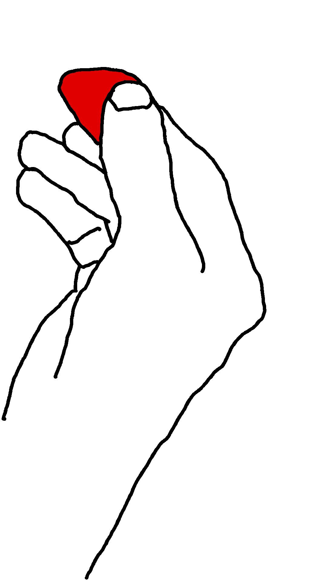 An image of a right hand.